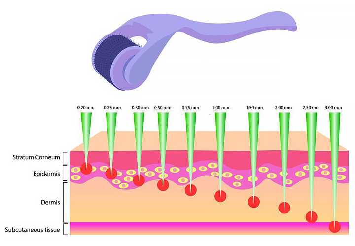 derma rollers have different depths