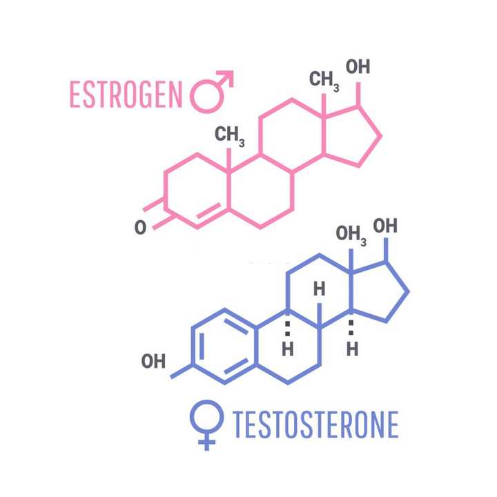 estrogen hormone for hair loss