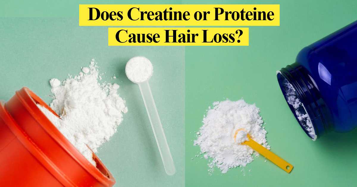 Does Creatine or Proteine Cause Hair Loss?